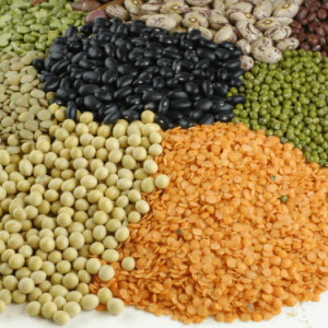Pulses
