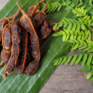 Tamarind